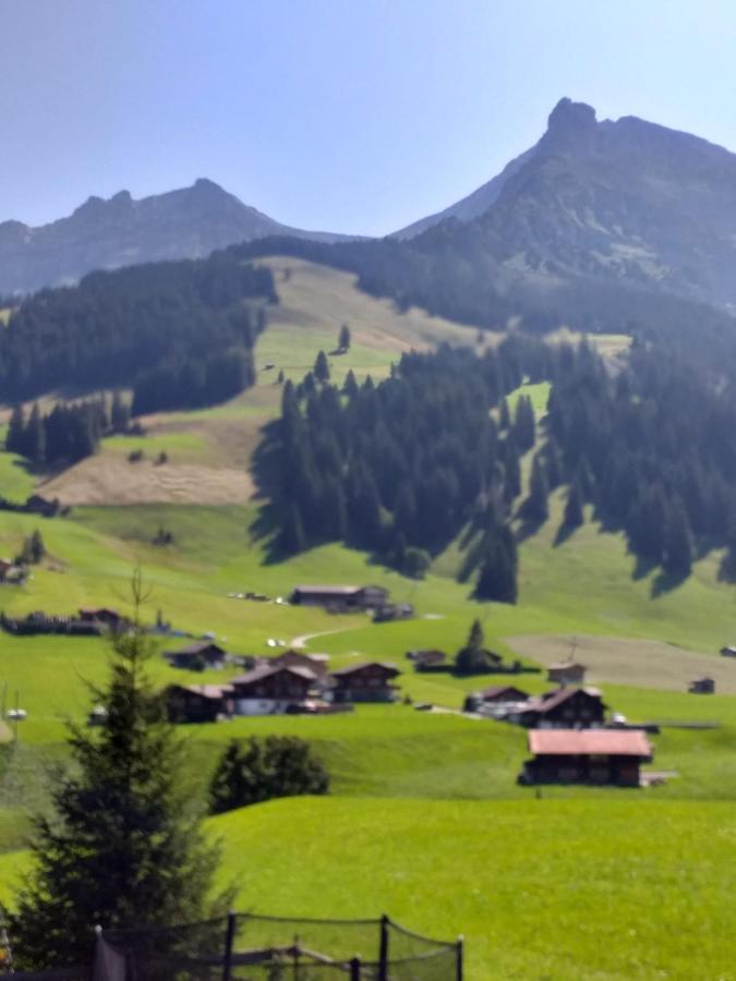 Chalet Aloa Appartement Adelboden Buitenkant foto