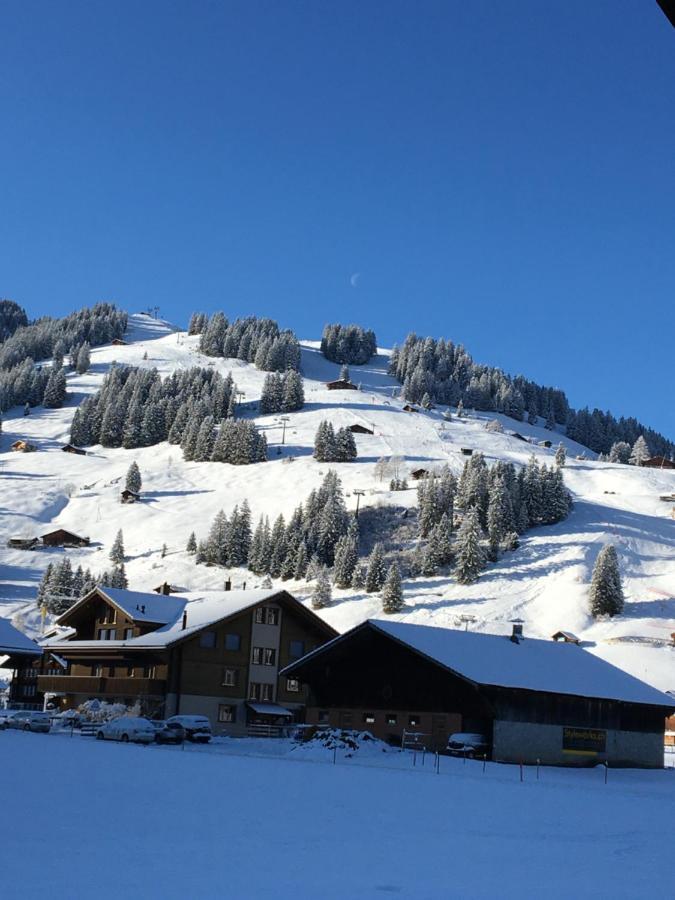 Chalet Aloa Appartement Adelboden Buitenkant foto