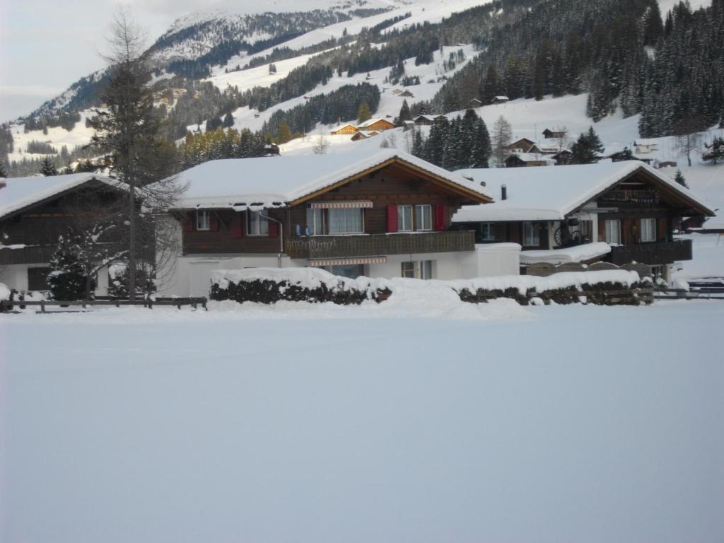 Chalet Aloa Appartement Adelboden Buitenkant foto