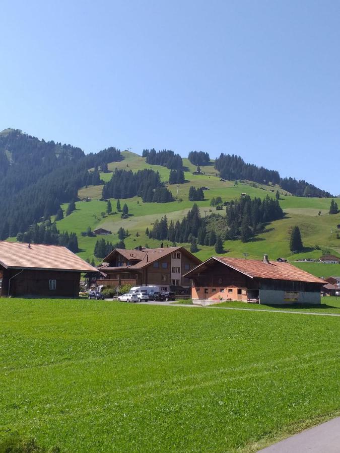 Chalet Aloa Appartement Adelboden Buitenkant foto