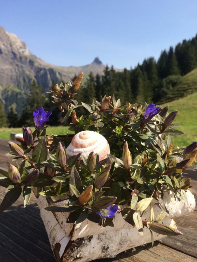 Chalet Aloa Appartement Adelboden Buitenkant foto